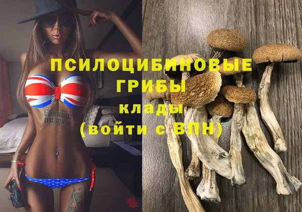 таблы Богданович