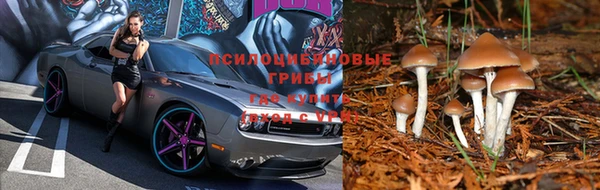 таблы Богданович