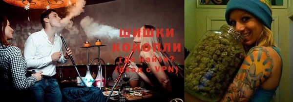 mdpv Богородицк