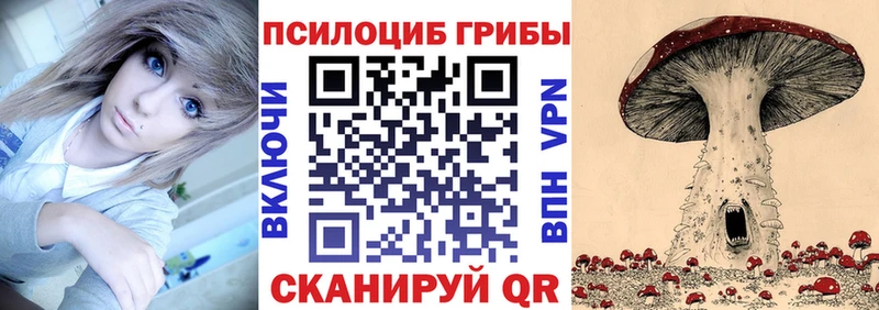 купить закладку  Кола  Галлюциногенные грибы Psilocybe 